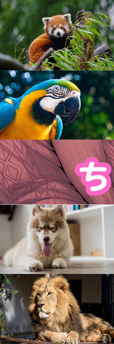 riaphartime1977's tweet image. (1/8)　SFW