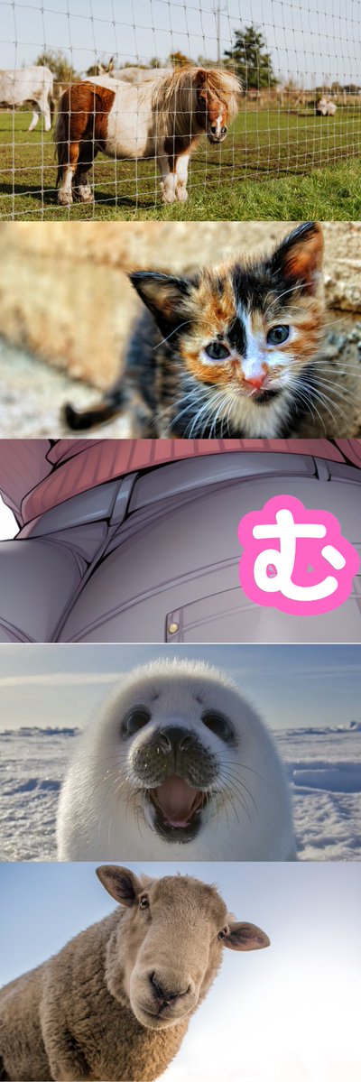 riaphartime1977's tweet image. (1/8)　SFW