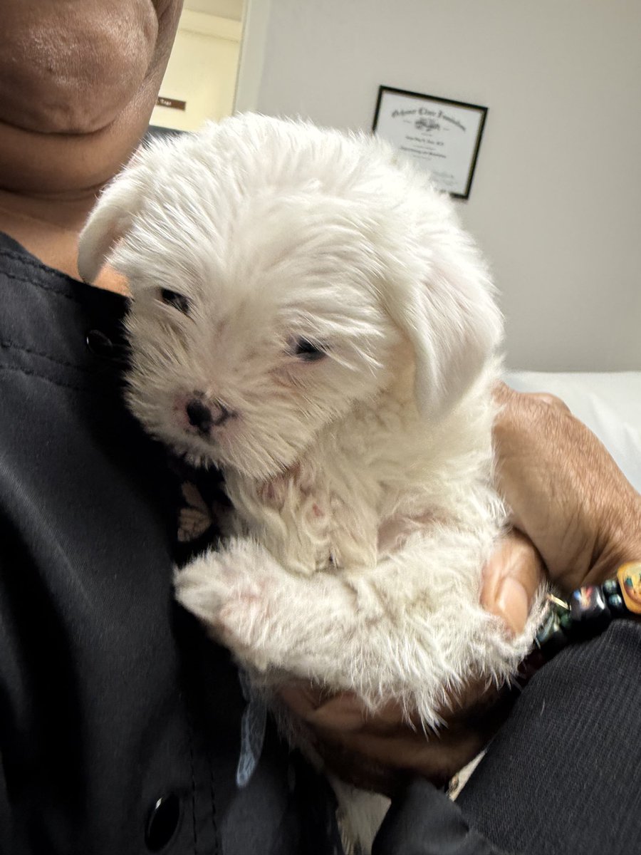 AND SHE GAVE ME KISSES