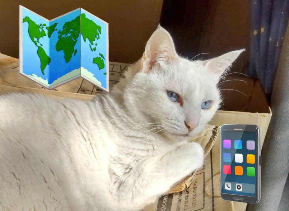 秋にスマホを落として割れたまま
使っていたら、昨夕ついに急に
点かなくなって(汗)、急いで
ショップに行き閉店までにギリ
で契約が済みました😅

<焦るニャね>
　#猫好き