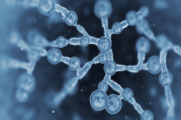 서울아산병원 tweet media