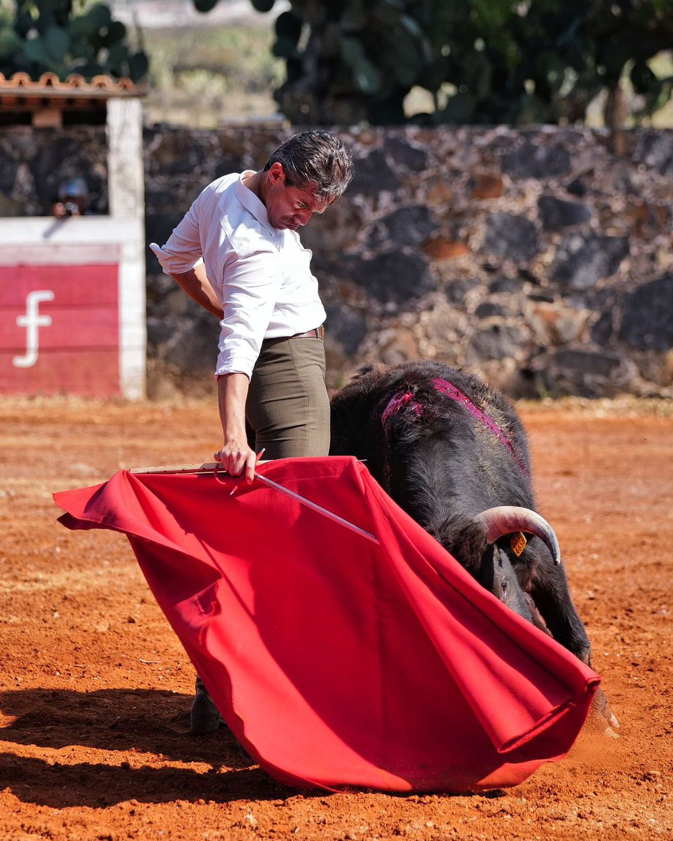 🔥 Diego Silveti vuelve a los ruedos.

Tras superar las dos cornadas sufridas en Mérida, el diestro guanajuatense afronta una semana de máxima exigencia con cuatro corridas consecutivas:

📍 17 feb Autlán
📍 20 feb Tlaxcala
📍 21 feb León
📍 22 feb Texcoco – Cinco Villas

Listo