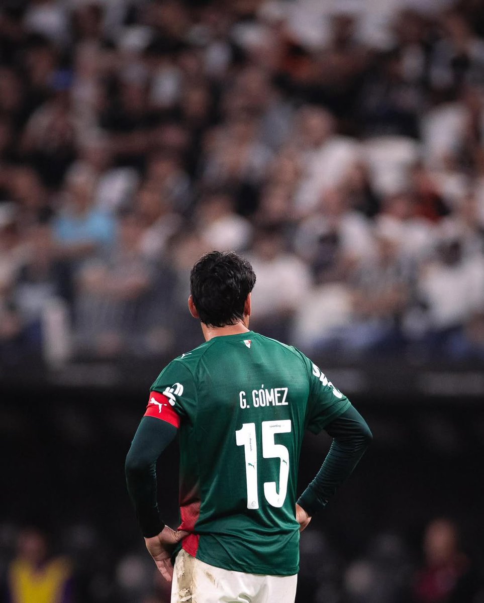 maior zagueiro da história da Sociedade Esportiva Palmeiras 

como é monstruoso o gustavo raul gomez portillo