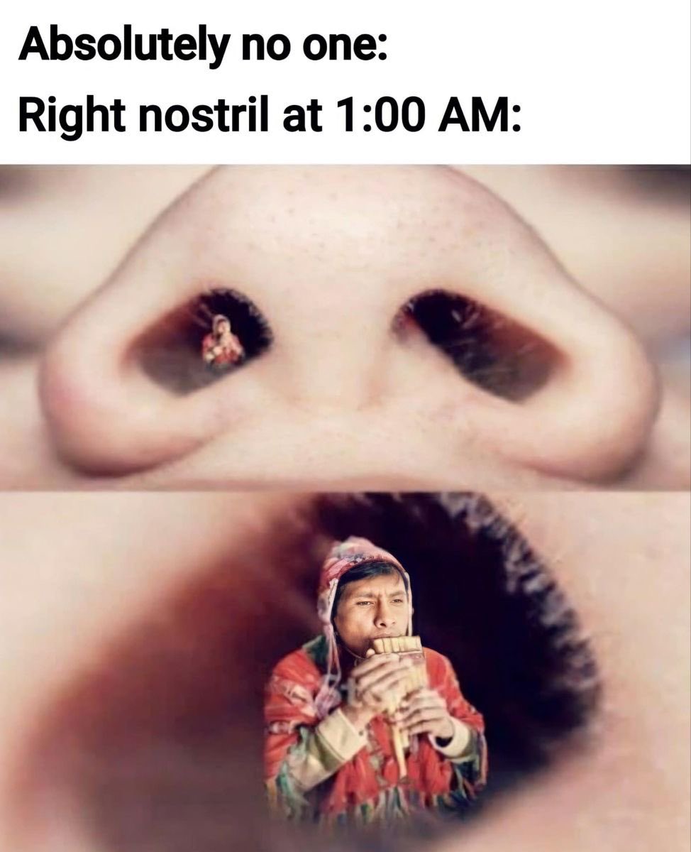 xderpalertx's tweet image. This is true. Science.
This 👇🏼 is its sister disease 😑