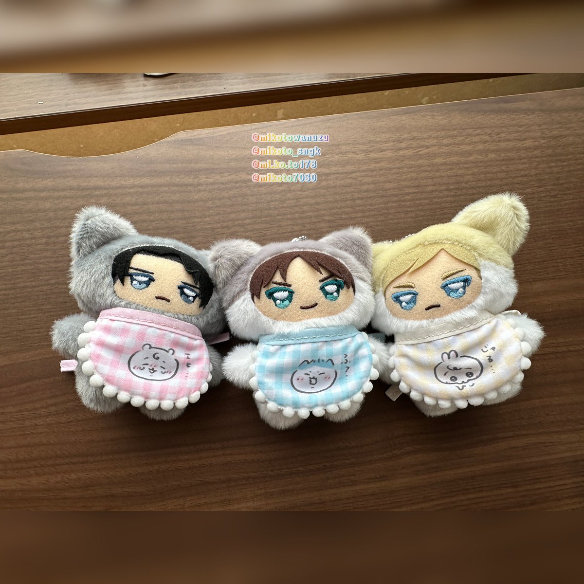 🐶にゃお🐼パン🐱 (@NaoU900) / Posts / X