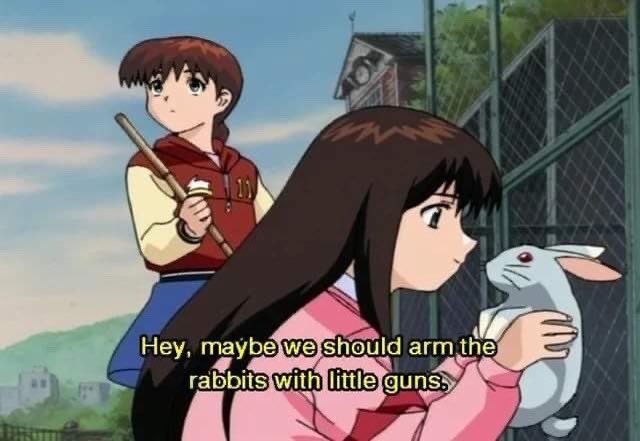 Bunnies (@bunnies) on Twitter photo 