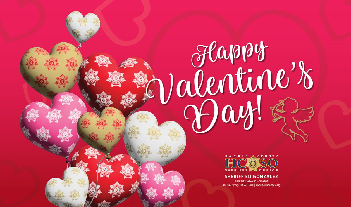 HCSOTexas tweet media