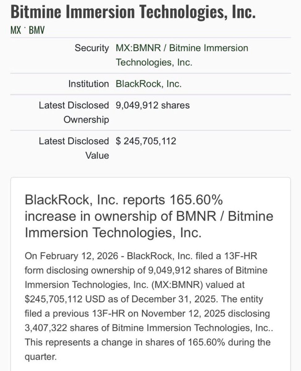 BMNR Bullz tweet media