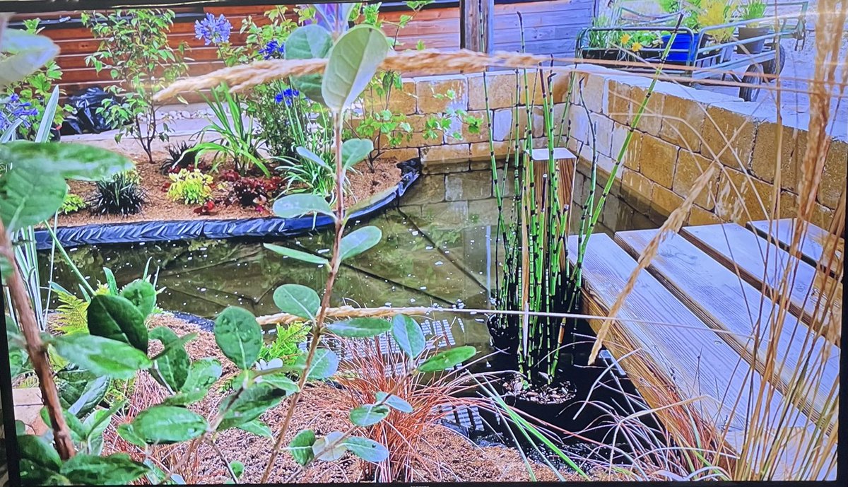 Eric Touron tweet media