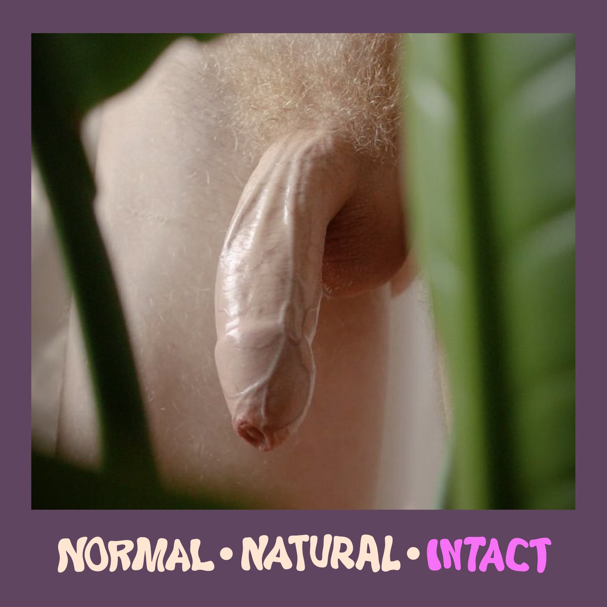 5ugger (foreskin) tweet media