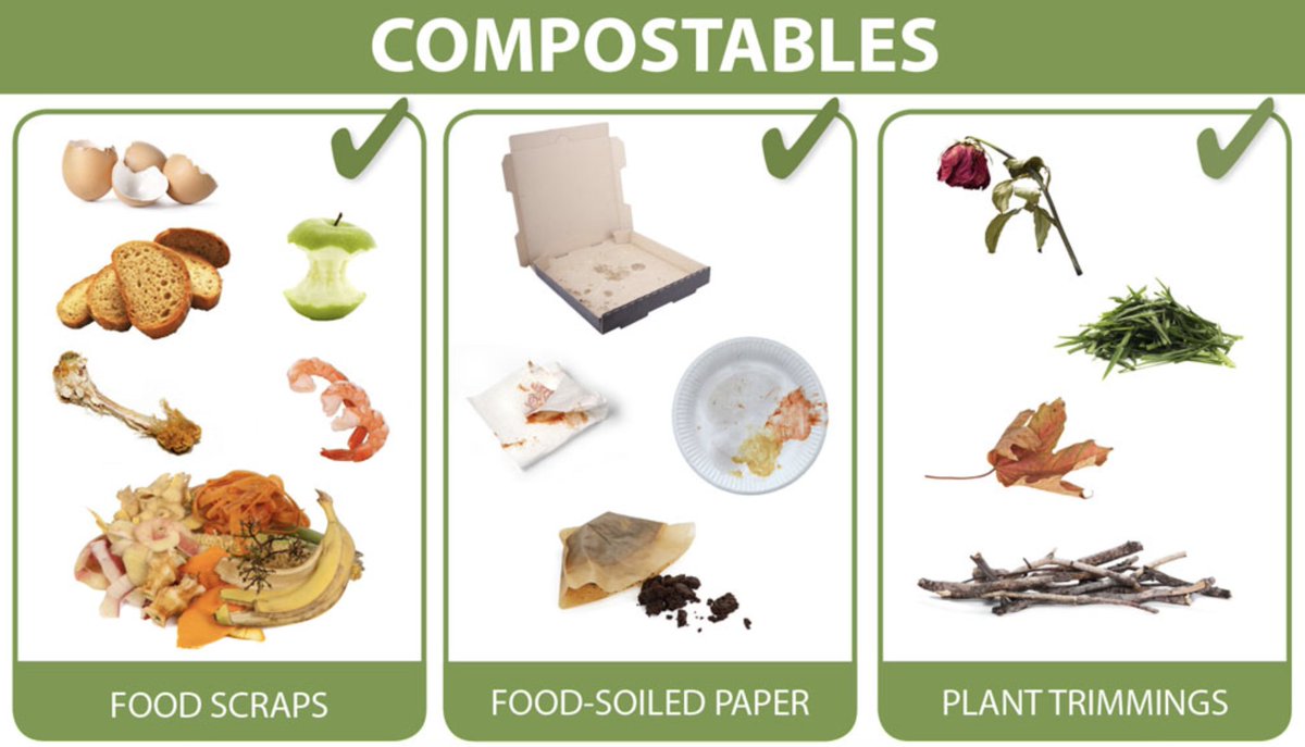 should have probably named it "THE COMPOSTABLES" NFT 🤣