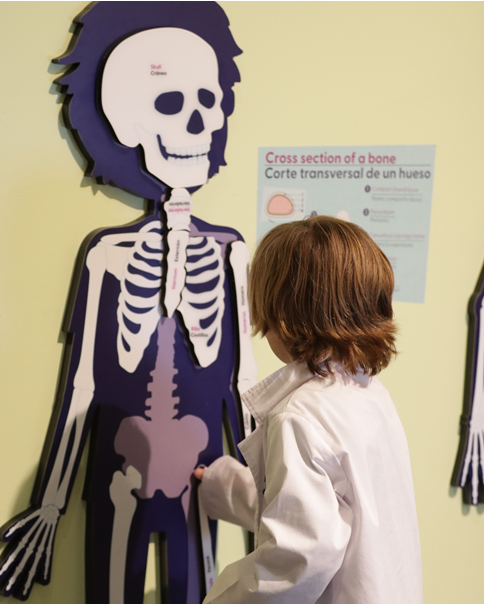 Steven & Alexandra Cohen Foundation tweet media