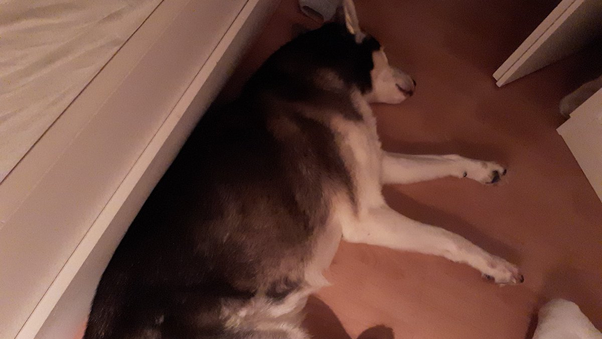 Ich bin zu faul, um von d. Couch rüber in's Bett zu gehen. Muss aber, da Hundi schon wartet 😁
