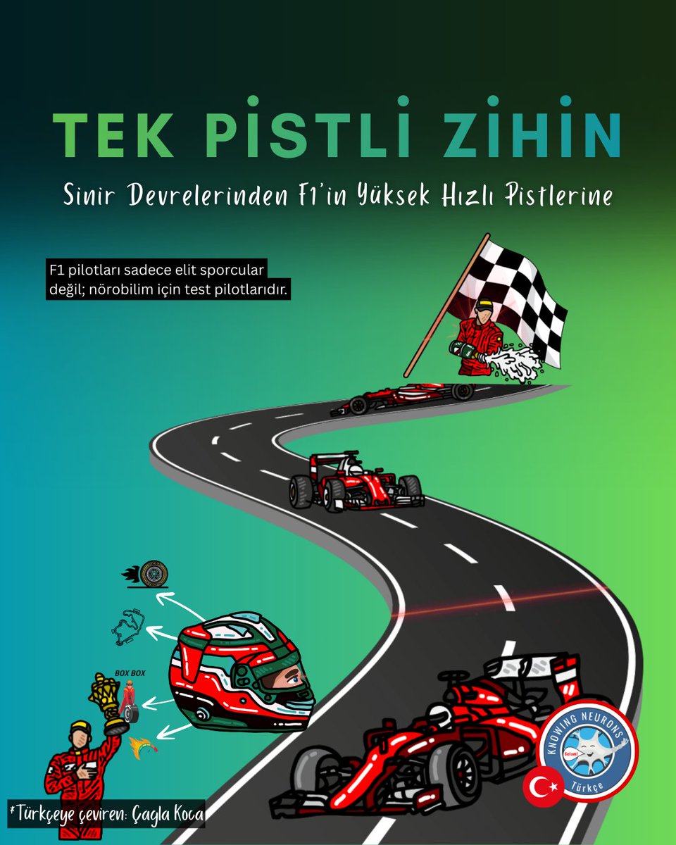 Knowing Neurons tweet media