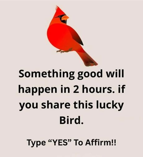 AFFIRM "YES"