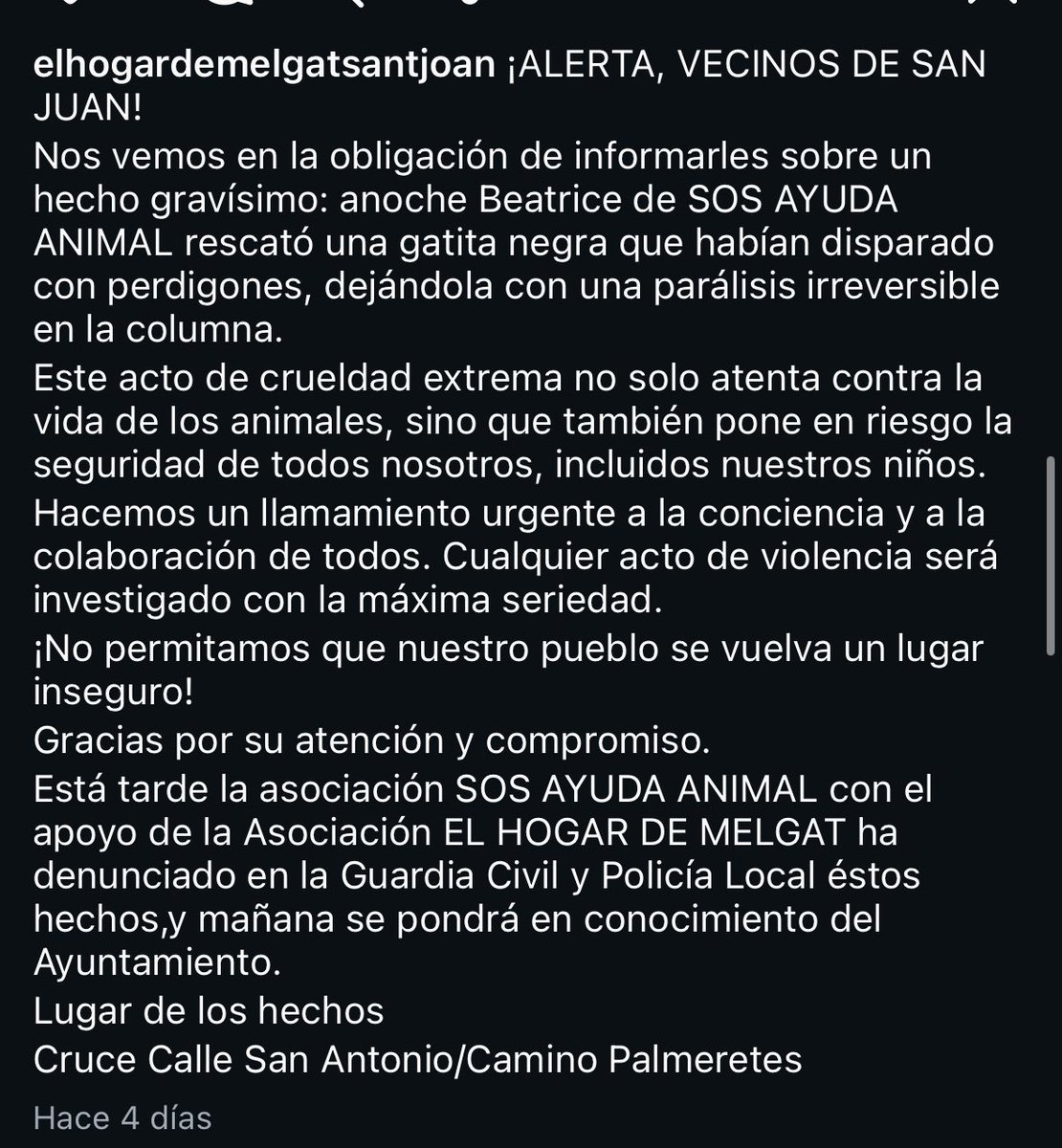 Nunca vengo a pediros nada pero esta vez vengo a pediros ayuda con la máxima difusión posible, por favor 
San Juan, Alicante
Tenemos que encontrar a este put0 desgraciado que ha disparado en DOS ocasiones a esta gatita, uno de los disparos era antiguo
Hay que encontrarlo