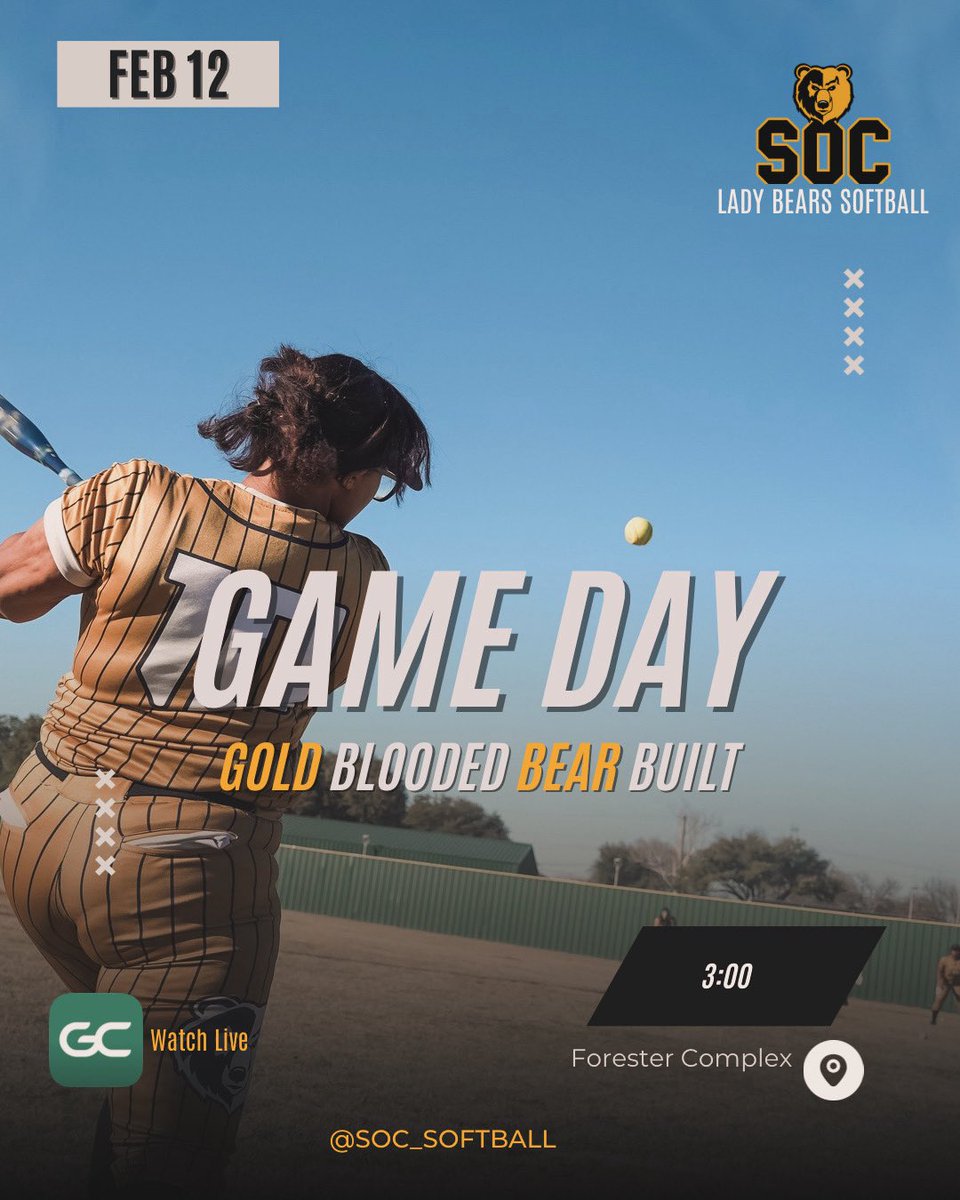 SOC Lady Bears Softball tweet media