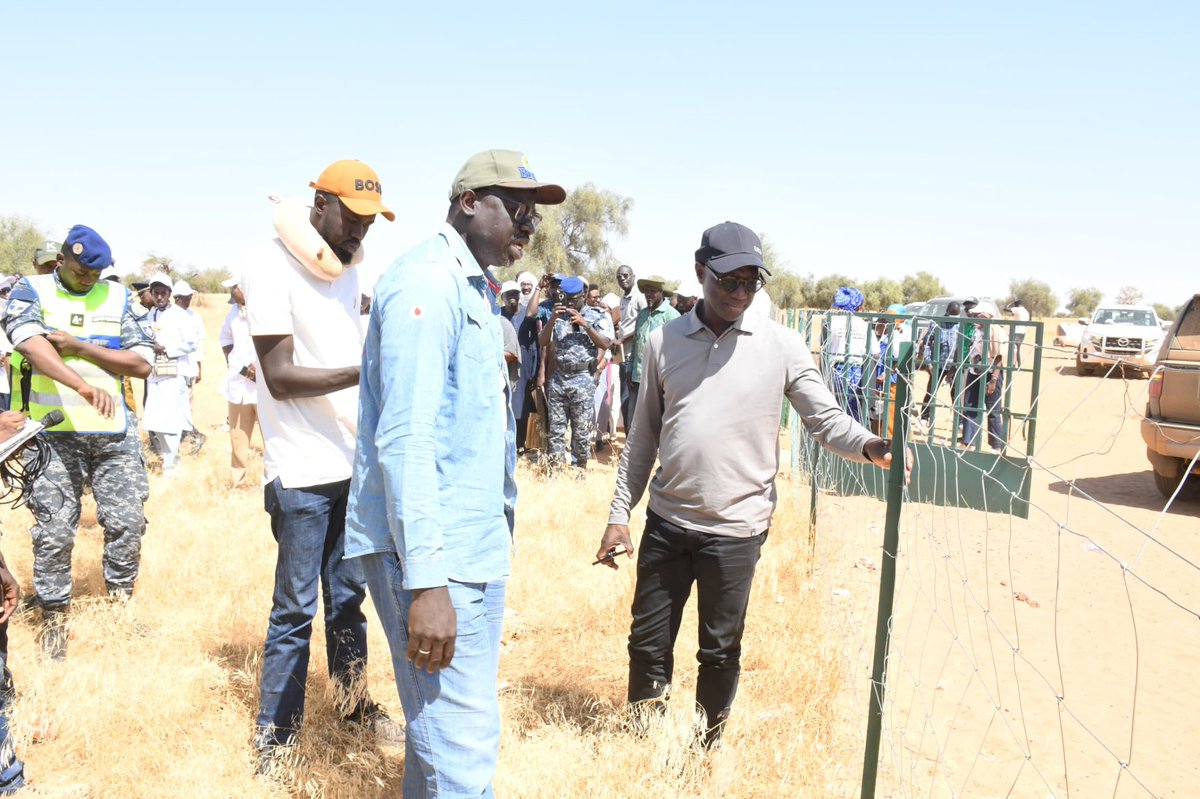 Ministère de l'Agriculture et de l'Elevage - MASAE tweet media