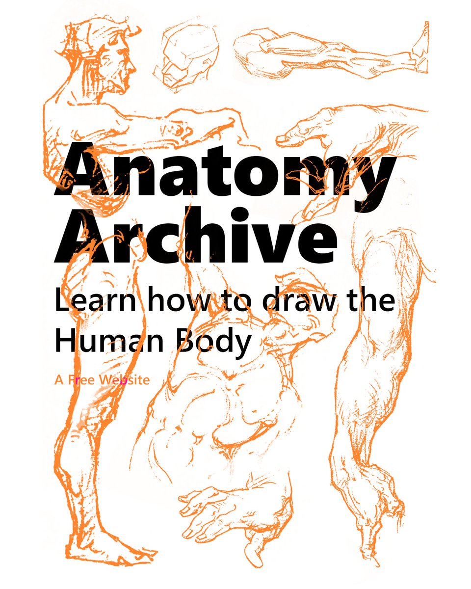 AnatomyArchive tweet media