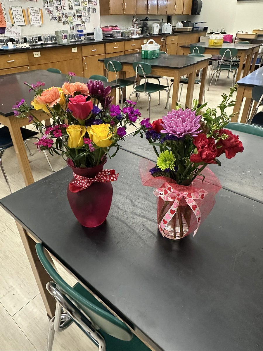 Amanda Deibert tweet media