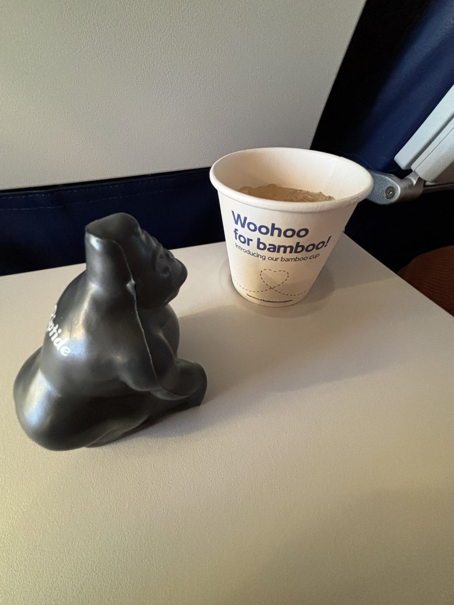 Chicagoland Melee tweet media