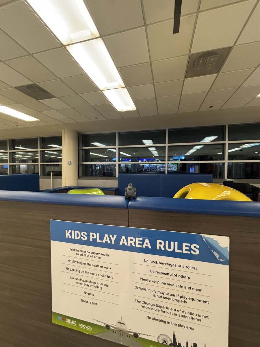 Chicagoland Melee tweet media