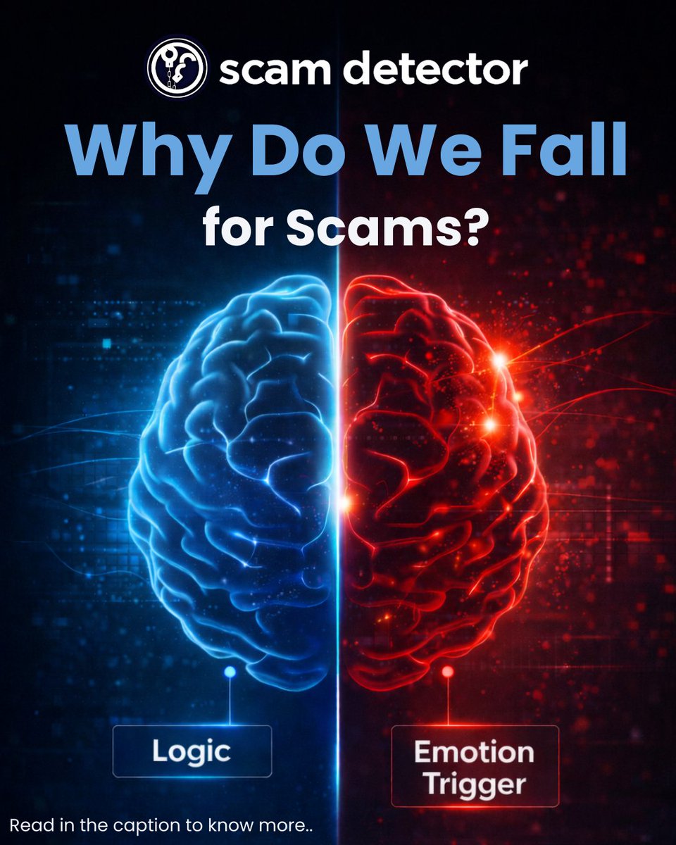 Scam Detector tweet media