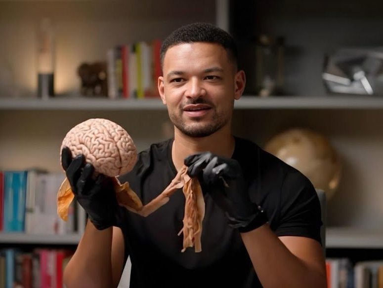 StevenBartlett's tweet photo. (THIS IS A REAL HUMAN BRAIN)

9 things I learned about the human brain that blew my mind 🤯 (from 100s of conversations on Diary Of A CEO)...

1. Your emotions only last 90 seconds Dr. Jill Bolte Taylor said the chemical rush of an emotion leaves your system in 90 secs. If you’re still angry after that it's cause you're choosing to stay in the loop by rethinking the same thoughts.

2. Heartbreak is processed just like an addiction Dr. Daniel G. Amen, M.D. showed rejection activates the same brain parts as cocaine withdrawal. The physical pain is real cause your brain is literally detoxing from the person.

3. Non-sleep deep rest is a cheat code for motivation Andrew Huberman says NSDR (hovering between awake and asleep) can boost dopamine by 65%. It's one of the only ways to restore motivation without caffeine or sugar.

4. You actually have 34 senses not 5 Dr Tara Swart Bieber explains we miss most of the picture. Beyond sight we have senses like interoception (feeling internal organs) and proprioception (sensing body in space). We ignore 90% of the data coming in.

5. Alcohol physically shrinks your brain a huge study showed even one drink a day links to smaller brain volume. Dr Daniel Amen says the more you drink the worse it gets - there isn't really "safe" drinking for brain structure.

6. You need sleep before you learn not just after Dr Matthew Walker, PhD warns sleep isn't just the save button, its the clear button before. Think of your hippocampus like an inbox - if you don't sleep it stays full and you cant absorb new info.

7. 80% of us have an optimism bias we are wired to overestimate good outcomes. Dr Tali Sharot explains this delusion is actually good cause it lowers stress and makes us try difficult things.

8. Your brain is always rewiring itself "you can't teach an old dog new tricks" is wrong. Dr Tara Swart says neuroplasticity happens til you die. The connections you focus on grow stronger - you physically sculpt your brain with attention.

9. Pleasure and pain live on a seesaw Dr Anna Lembke says the brain processes pleasure and pain in the same spot. If you chase cheap pleasure your brain tips the balance toward pain to even it out. The comedown is your brain protecting you.

10. Your brain runs your body like a financial budget Dr Lisa Feldman Barrett explains your brain constantly predicts resources like glucose. Sleep/food are deposits, stress is a withdrawal. Run a deficit too long and you go bankrupt—aka burnout.

Holding a real human brain (which I've done twice now) was the most inspiring thing I've ever done. It's so soft, delicate, kinda like tofu and it gave me the stark realisation that it's so easy it is to damage our brains through how we treat our body... What we consume and thinking sleep is negotiable...