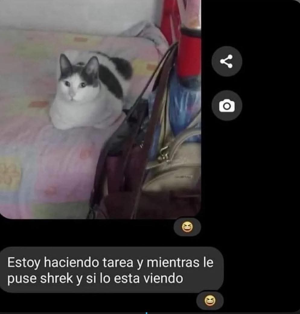 Esta viendo sherk