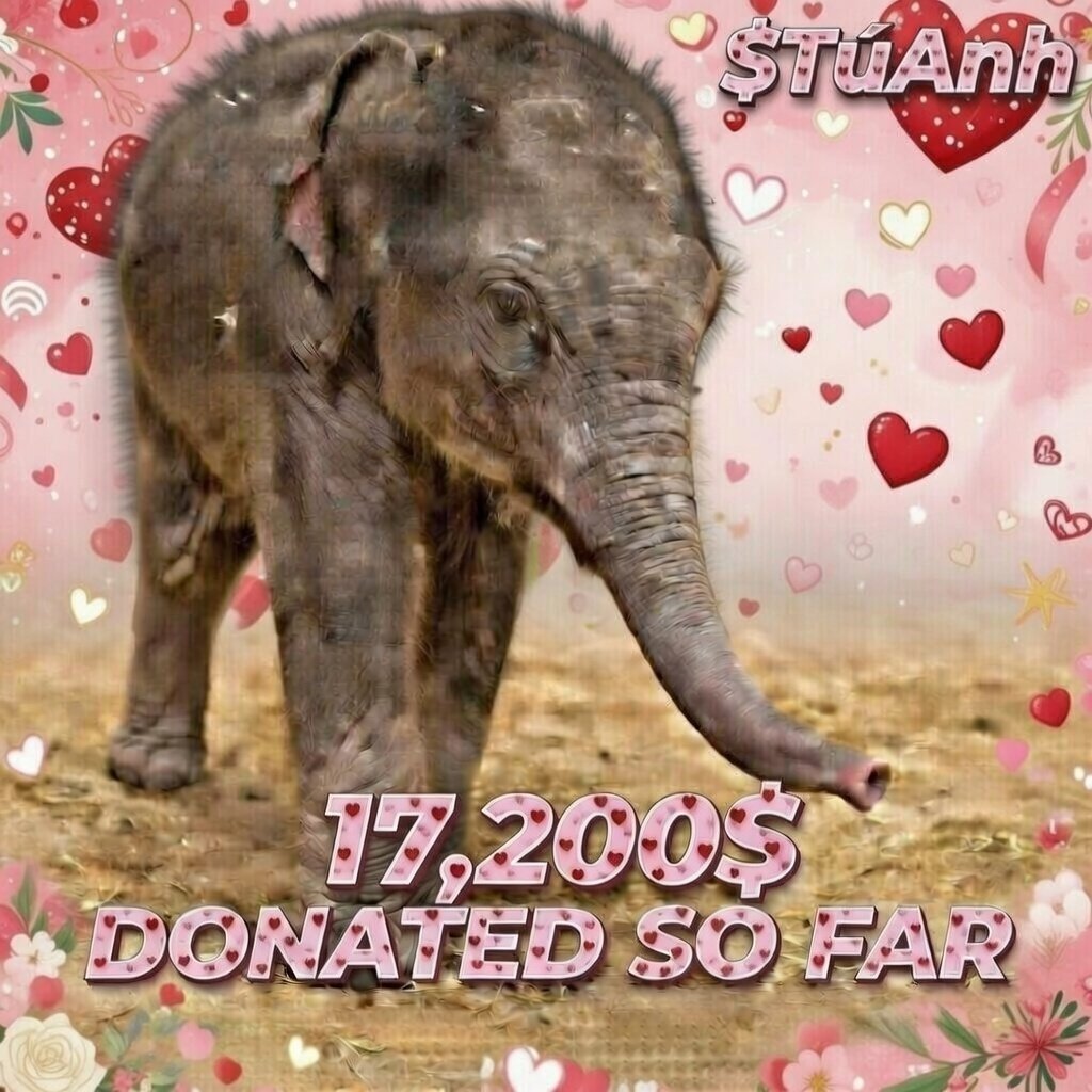Another $700 donated to <a href="/NationalZoo/">National Zoo</a> 

Totaling $17,200 !