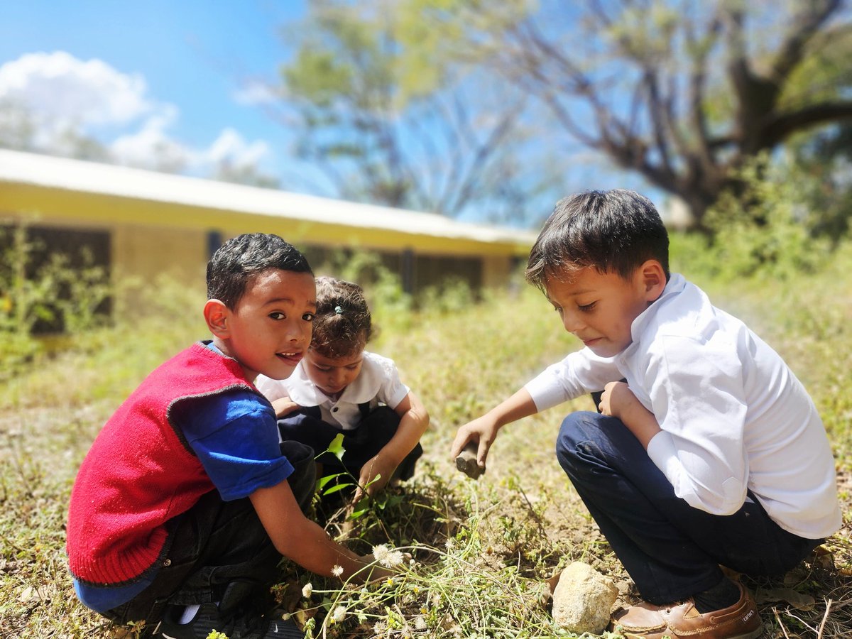 AdelanteSiempr_'s tweet image. Niños y niñas del Programa Amor participaron en jornada de siembra y ornamentación en el CDI Dulce Sonrisa de Ocotal, promoviendo el cuido de nuestros recursos naturales, junto al Movimiento Guardabarranco y MIFAM. 🌿🌼 #PlanetaVerde
