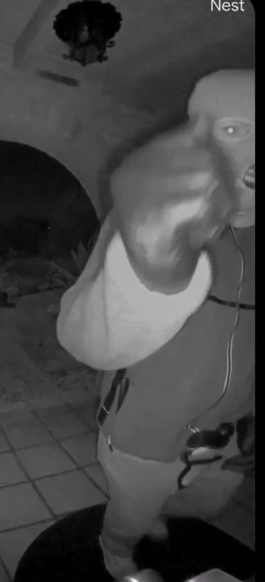 robert digital tweet media