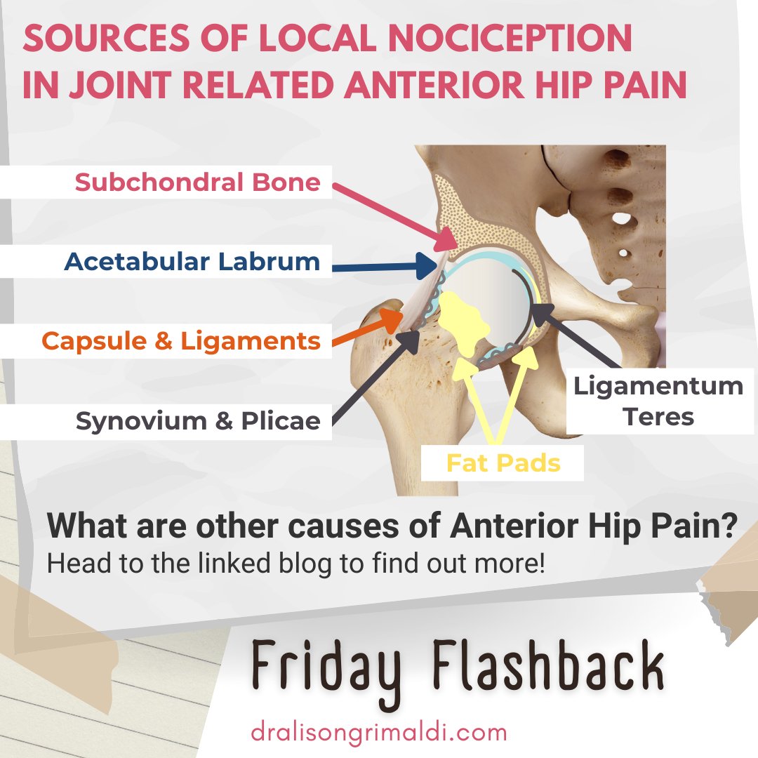 alisongrimaldi's tweet image. Friday Flashback 🔁
Joint-related anterior hip pain can come from several sources (bone, labrum, capsule, synovium, etc.).
But what else can cause anterior hip pain beyond these structures?
👉 Read more: dralisongrimaldi.com/blog/anterior-…
#HipPain #Physio #ClinicalReasoning