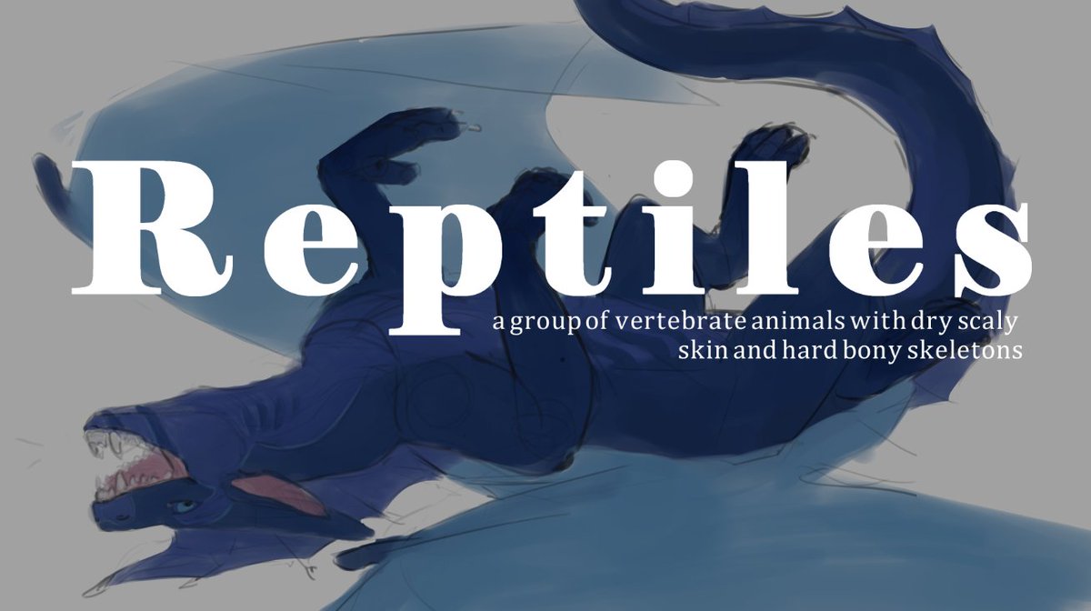 NimsTail tweet media