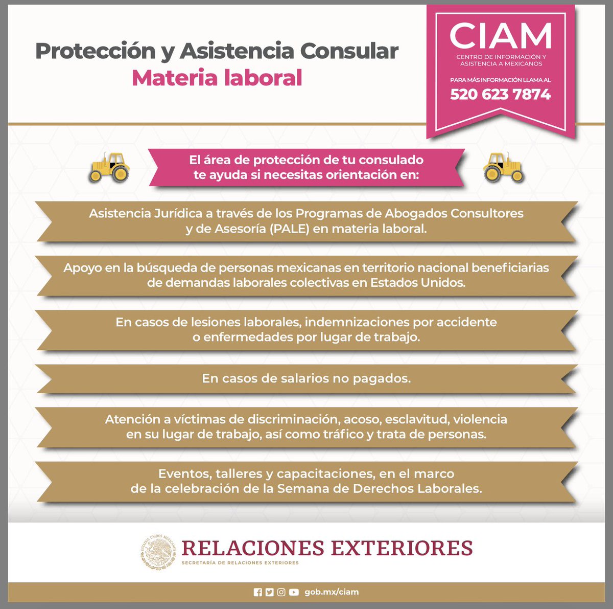ConsulMexRlm's tweet photo. ¿Necesitas orientación en temas laborales?

El departamento de Protección del Consulado General de México en Raleigh puede apoyarte. 

Acércate a tu Consulado.

CIAM: 520 623 7874

#ProtecciónConsular #DerechosLaborales https://t.co/nLWxKCyKdR