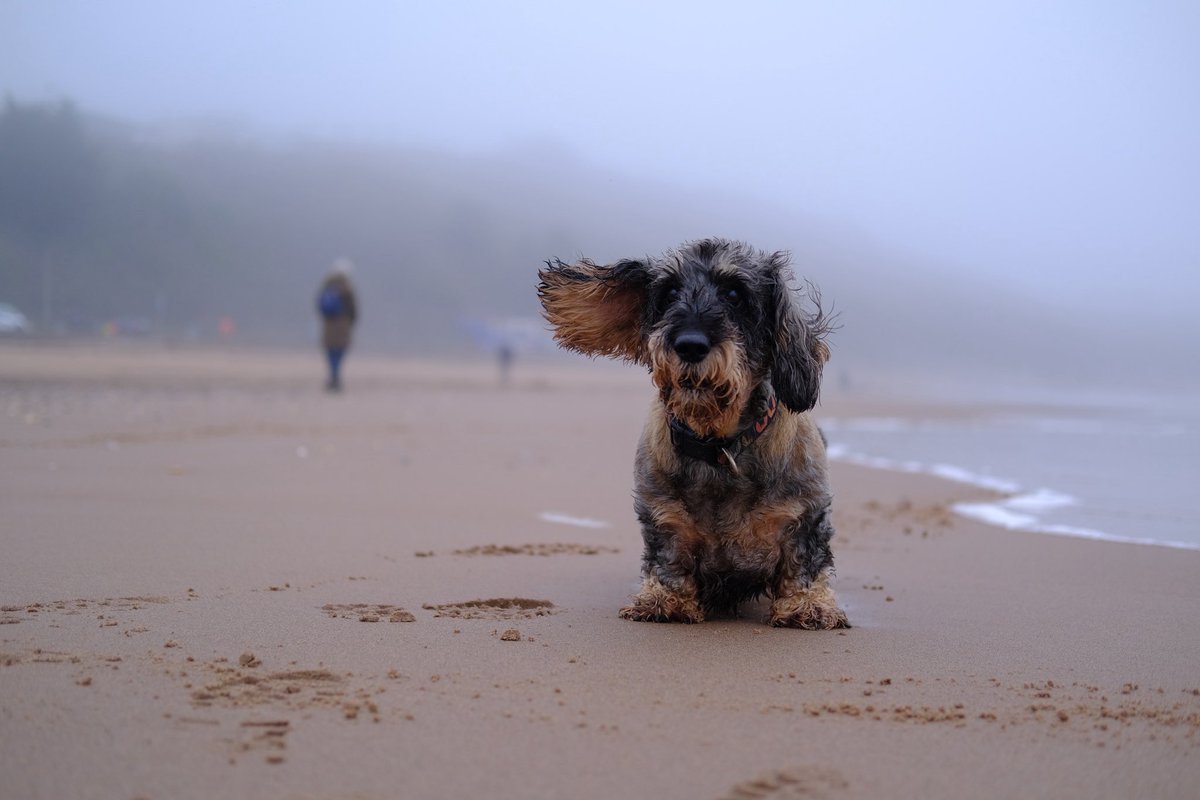 Pointing out Mum through the mist 🥰