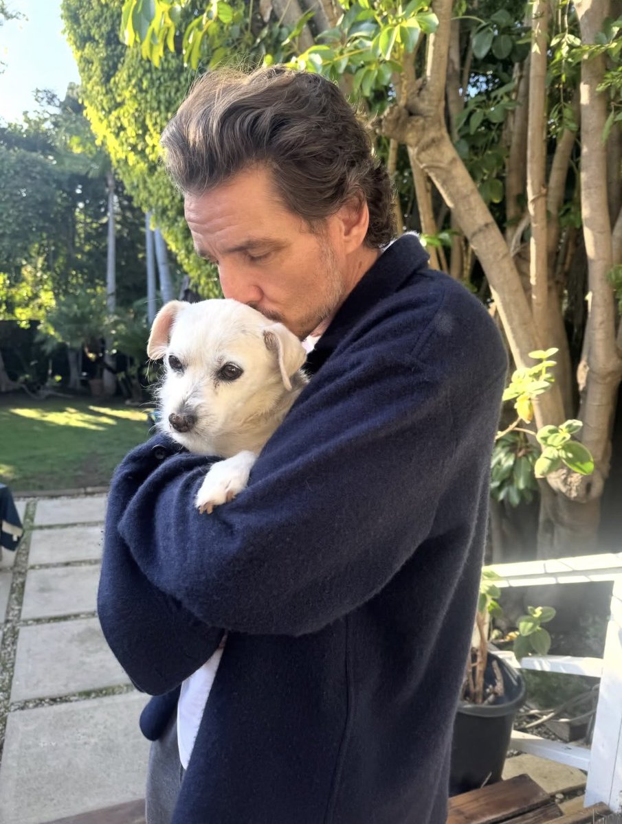 sunsetpascal's tweet image. 