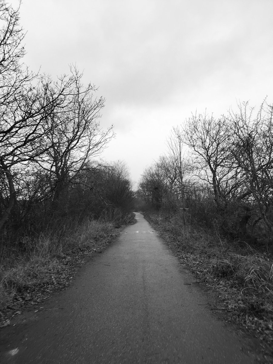 The Spase tweet media