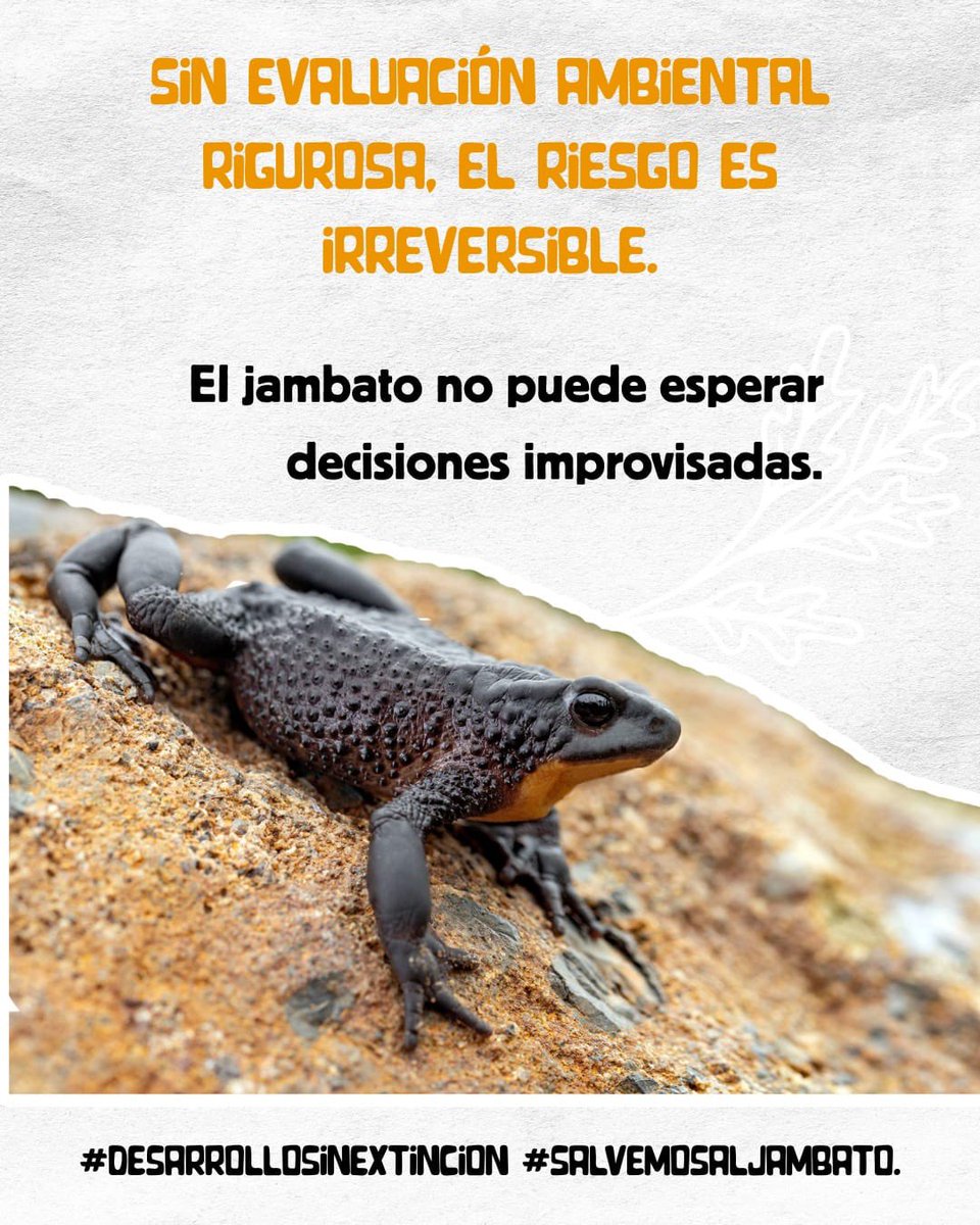 Maritza Rubianes tweet media