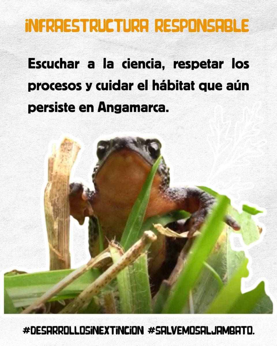 Maritza Rubianes tweet media