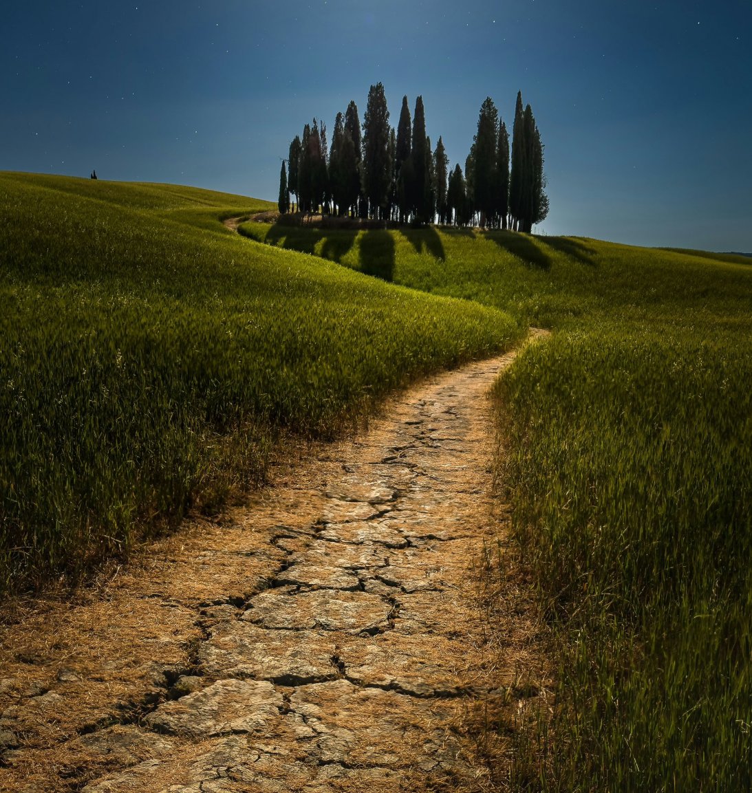 ThriveSerene's tweet image. Here's a pop question for you. 👇

Take a look at this trail. Now, if you had to give this trail a meaningful, personal emphasis, what would you imagine this trail to be like, and what is your logical reasoning for that decision? 🤔