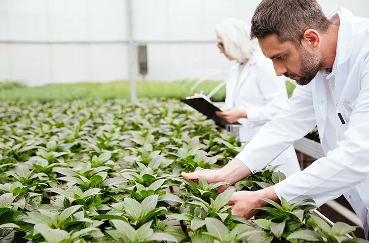 SNPTES UNSA tweet media