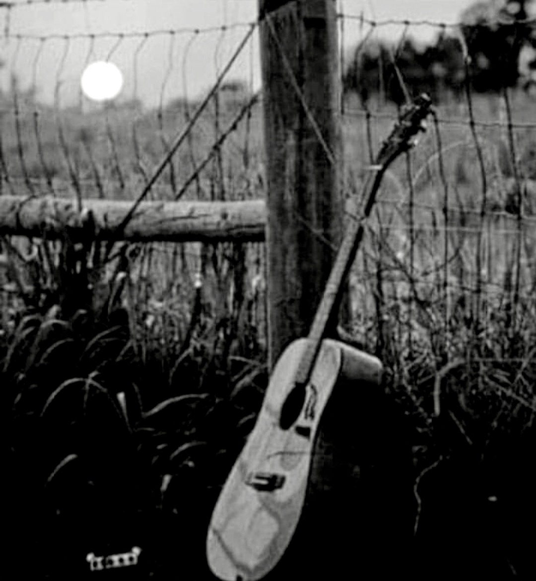 Bu kötü günler geçecek diyordu üstat Yaşar Kemal. Yüreğim öyle söyledi. Üç kere ses verdi, üç bin kere bağırdı diyordu. Daha ne desin usta yazar, elbet bir bildiği vardı. Bu kötü günler geçecek...! ⛅️🌤