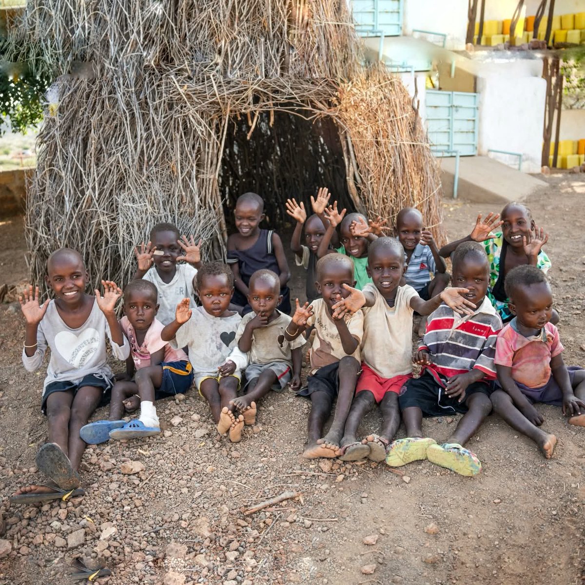 Andrea Duque Aguirre ☮️ tweet media