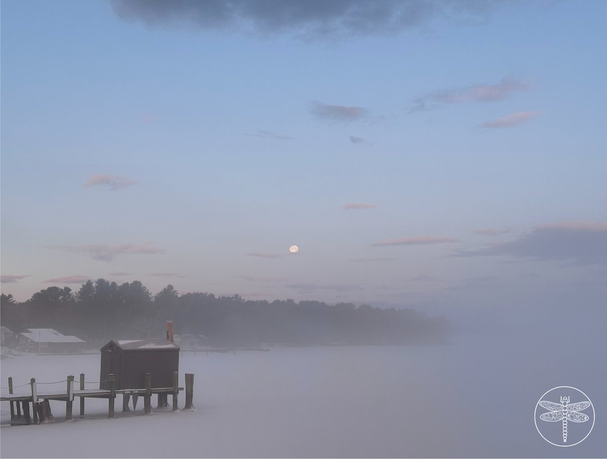 The world keeps turning and calls on our capacity for steadfastness and willingness to change. Robin Wall Kimmerer advises us that “our responsibility is our gift and our gift is our responsibility.”
📷
Photo by Heather Newton Brown