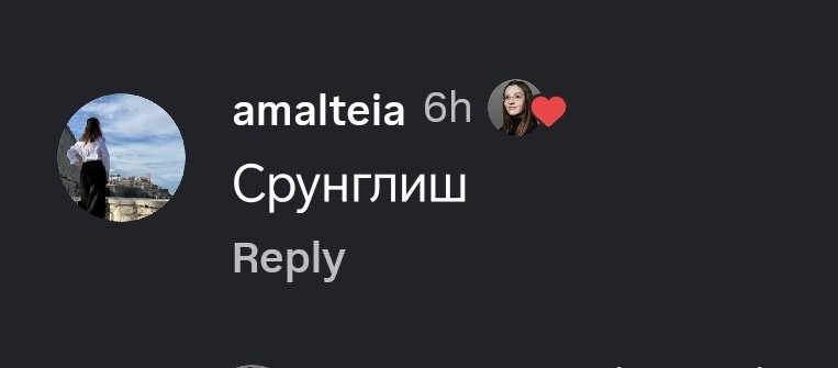 e_v_a_lazar's tweet photo. Срунглишь. Это когда ты общаешься (и уже даже думаешь) на смеси сербского, русского и инглиша. Полако короче ай мин https://t.co/LX7N9JGx7F