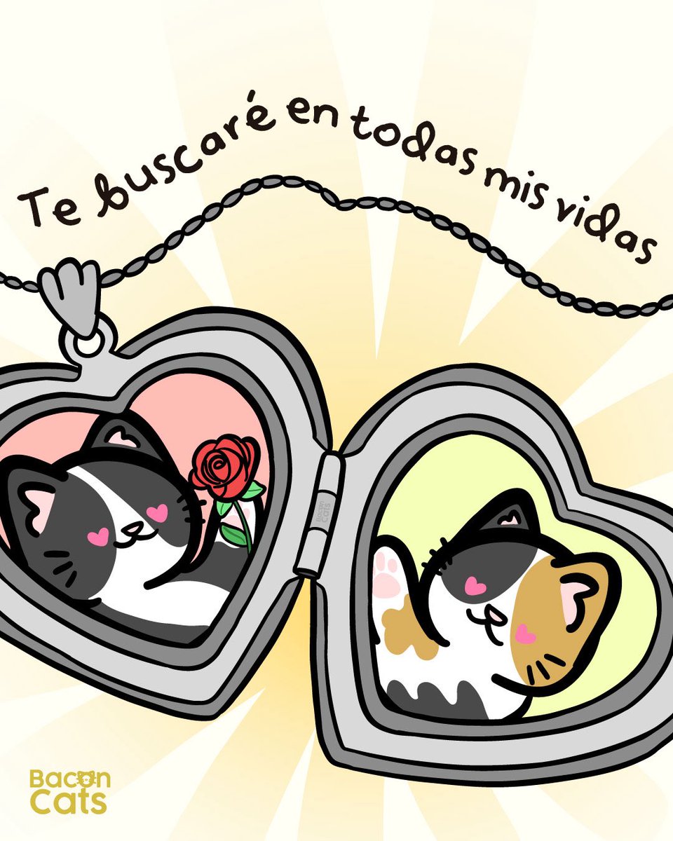 En esta y las vidas que me hagan falta ❤️🐱