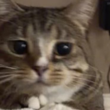 404cuntnotfound's tweet photo. #NewProfilePic https://t.co/Mpogj74eHp