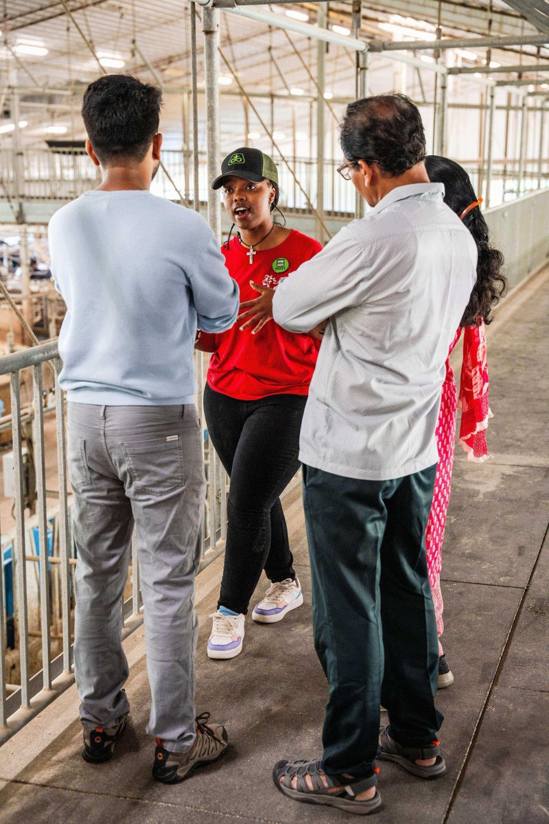 Open Farm Days SK tweet media