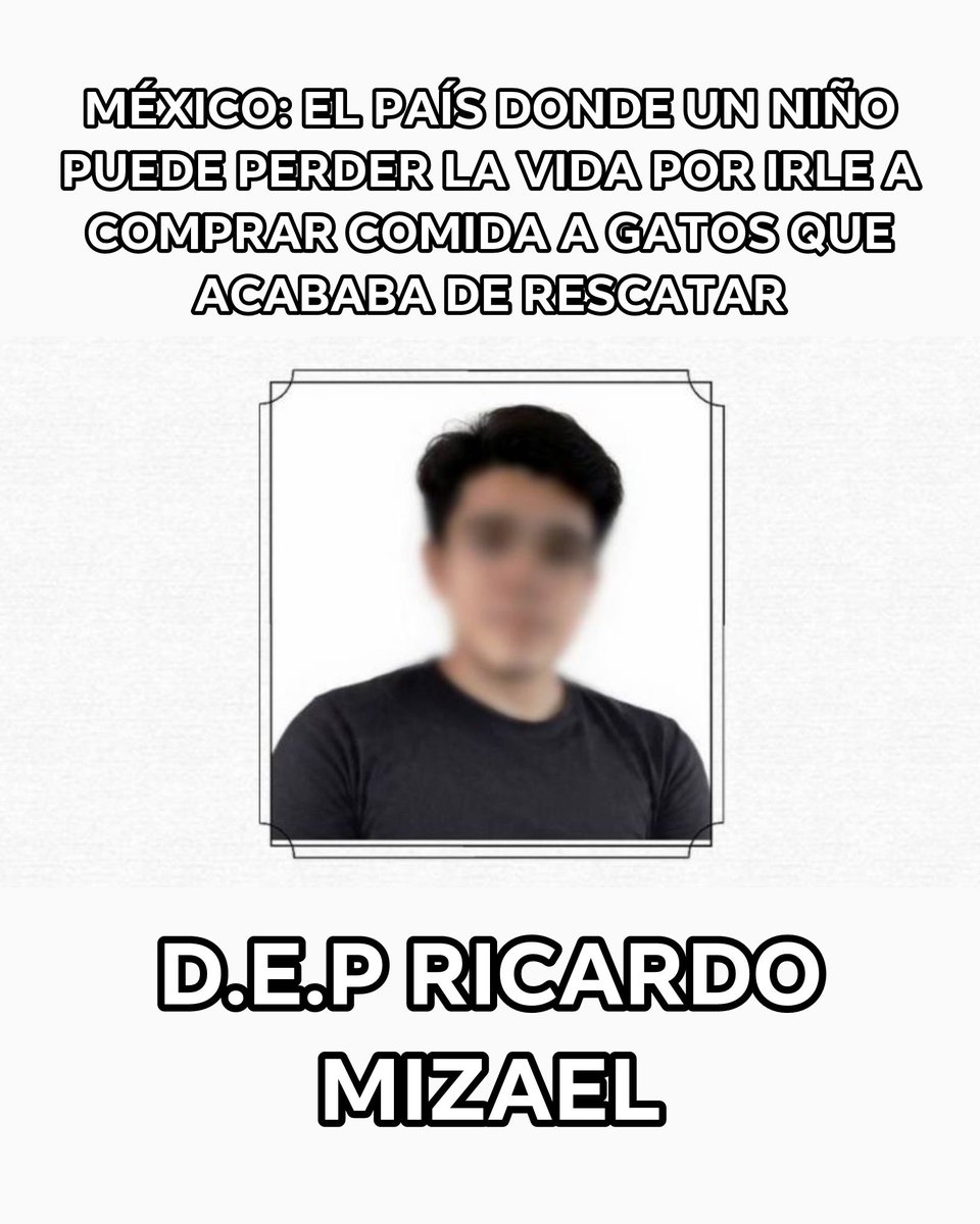 marcelcarrillog's tweet photo. Ricardo Mizael tenía 15 años.
Iba a la prepa.
Jugaba basquetbol.
Había rescatado unos gatitos.

Salió a comprarles comida. Y no volvió.

No fue “daño colateral”.
No fue “hecho aislado”.
No fue “percepción”.

Fue un niño más arrebatado por la violencia mientras algunos prefieren hacer cálculos políticos con vidas.

Sinaloa no puede normalizar esto.
México no puede acostumbrarse a enterrar adolescentes.

Que Dios lo reciba en su gloria y le dé fortaleza a su familia.

Justicia para Ricardo Mizael.

Ya basta.
